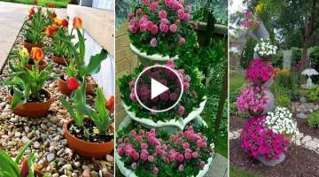 Highlight garden with these DIY ideas of colorful pot arrangements | diy garden