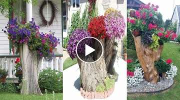 10 Amazing Tree Stump Ideas for the Garden | diy garden