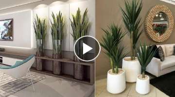 100 Modern indoor plants decor ideas 2021