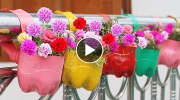 Creative Garden Ideas, Beautiful Balcony Hanging Garden From Recycled Plastic Bottles