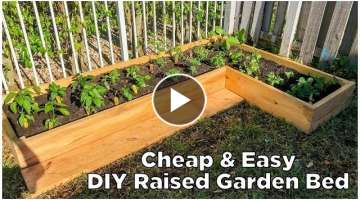 Super Easy & Cheap DIY Raised Garden Bed!