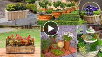22 Inspirational Ideas for Your Container Garden | garden ideas