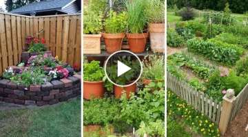 10 Backyard Vegetable Garden ideas