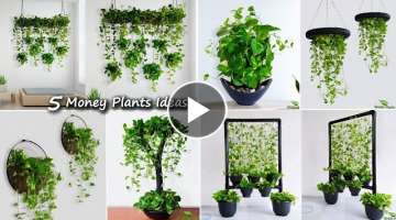 5 Money Plants Hanging & Decoration Ideas For Your Indoor | Money Plants Growing Ideas//GREEN PLA...