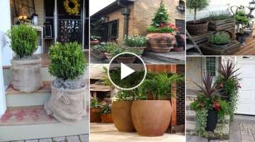 46 Easy Container Gardening Ideas for Your Potted Plants | diy garden