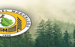 Orman Genel Müdürlüğü 42 Şehirde 150 Personel Alımı Başladı