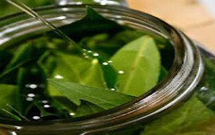 Ünlü oyuncu DİVA hayatını kaybetti