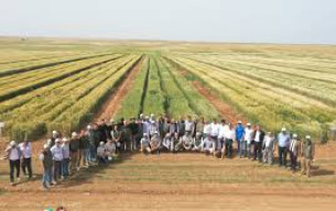 TİGEM 306 işçi alımı başvuru ekranı açıldı